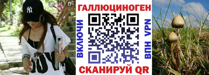 Купить  Струнино  Галлюциногенные грибы прущие грибы 